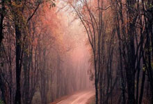 FB体育：[欧冠开场哨]菲尔克鲁格：会以最佳状态参加欧冠决赛.