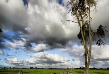 FB体育：卫报谈澳大利亚出线前景：中国队不太可能像印尼那样好对付.