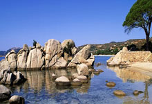 [高尔夫]世界前十：松山英树下跌森川升到第四 坎特利滑落.